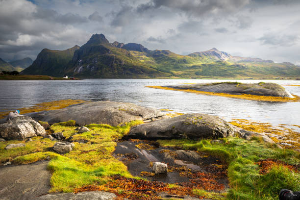 istock Mountainous Coastline with Mossy Rocks 2177092027