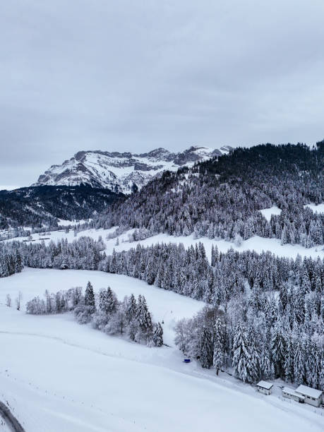 istock Snow-Covered Alpine Landscape with Pine Forests 2177095254