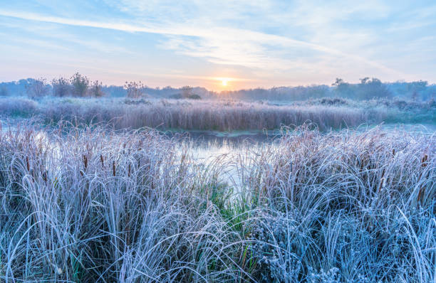 istock Autumn frosty morning on the river 2177095878