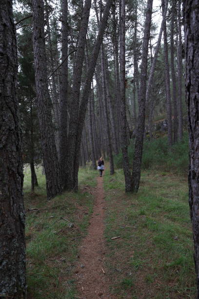 istock Woman over 40 years old hiking along a forest path 2177097066