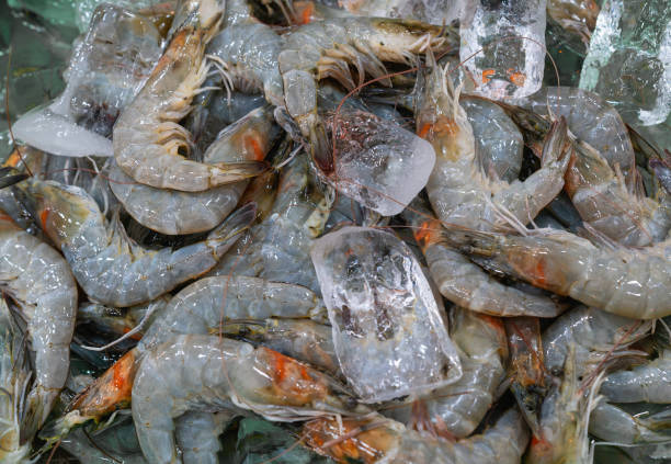 istock Freshly caught shrimp with ice cubes close-up 2177098398
