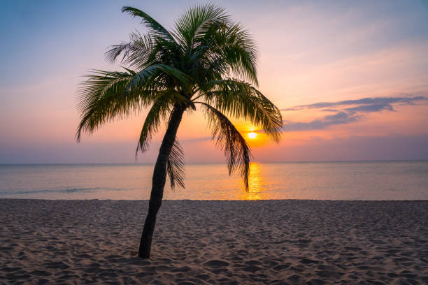 Sunset over the Indian Ocean