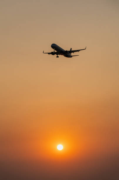 istock Passenger plane is landing on the background of the setting sun 2177099436