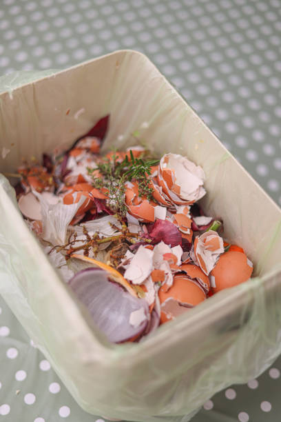 istock Kitchen food waste caddy filling up with eggshells and vegetable peelings ready to be composted 2177099711
