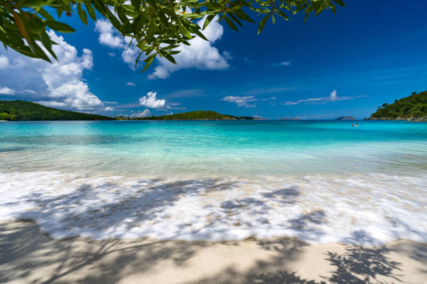 Shoreline of Oppenheimer Beach / Gibney Beach in Hawksnest Bay, St.John, US Virgin Islands