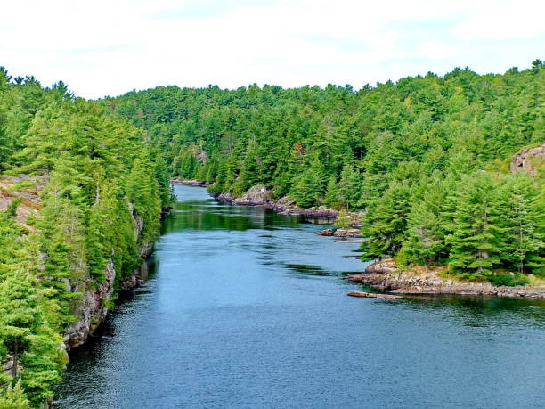 Two people are canoeing at Fairy Lake in Huntsville in Canada. It is part of the Algonquin Provincial Park.