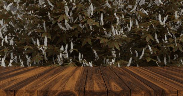 Wooden Tabletop With Green Foliage Background.