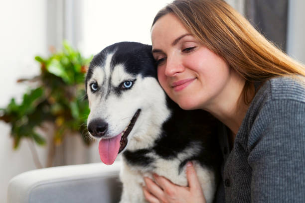 istock Woman hugging husky dog with affection indoors 2177110286