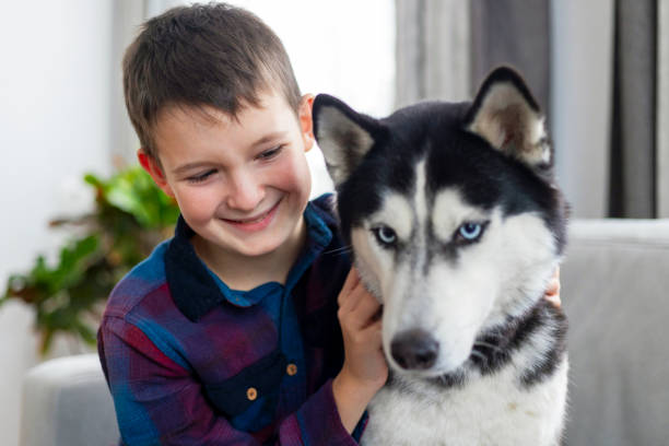 istock Boy smiling with Siberian Husky at home 2177110655
