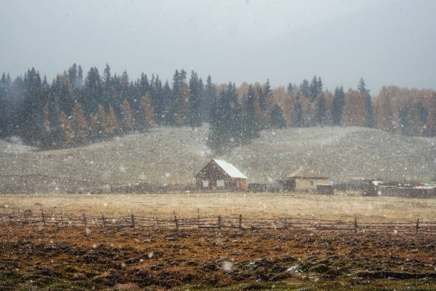 Poor visibility due to snowfall. A secluded house under a mountain in a snowstorm, the beginning of winter.