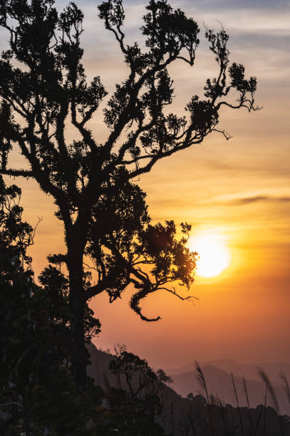 Beautiful Sunrise on khao khao chang phueak mountain.Thong Pha Phum National Park's highest mountain is known as Khao Chang Phueak