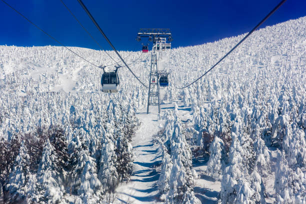 istock Ropeway and gondola through frozen, snow covered trees on a clear day 2177117289