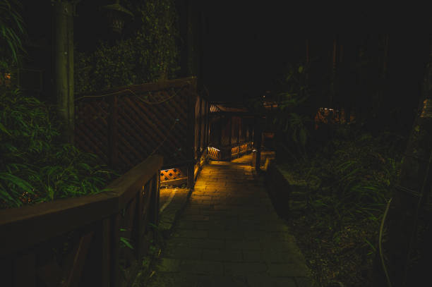 istock Stone stairs in Alishan National forest. 2177117367