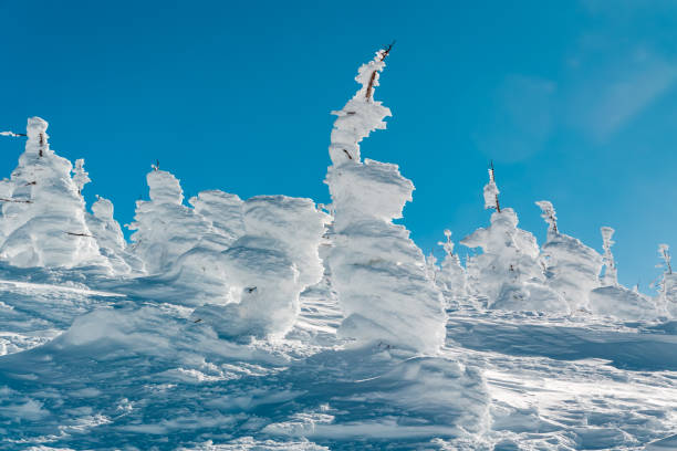 Winter on Velka luka hill in Martinske hole in Mala Fatra mountains in Slovakia