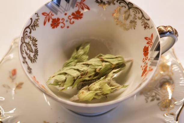 istock Greek mountain tea in a decorative cup 2177124638