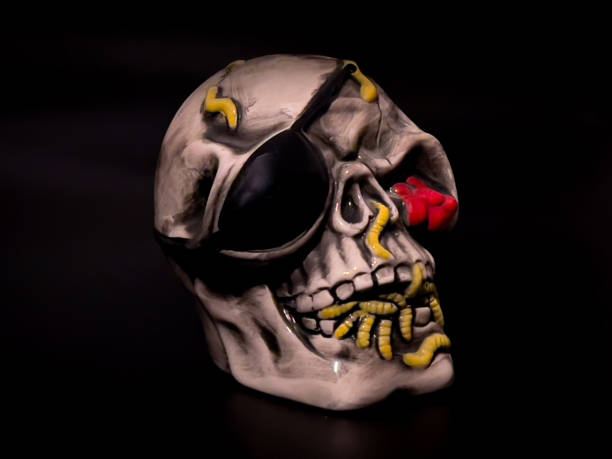 Halloween skull wearing pirates eye patch isolated on black background, for Halloween celebration