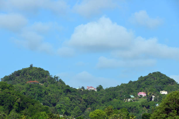 Castries, Saint Lucia, West Indies: properties surrounded by tropical rainforest in the hills around the capital - saddle shape hills.