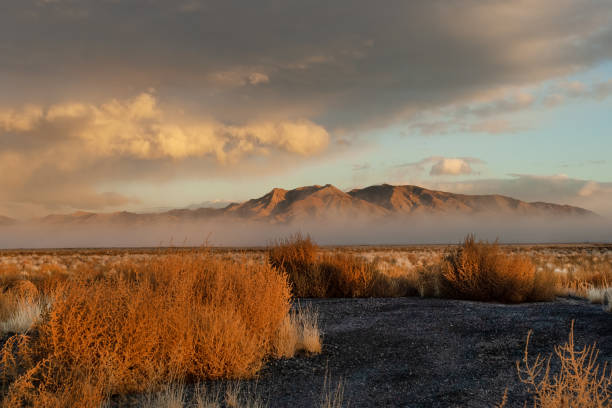Bosque del Apache, New Mexico