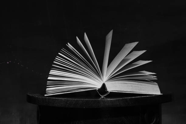 istock Open book, Reading, learning, education or home office concept. Black and white image, free copy space. 2177145114