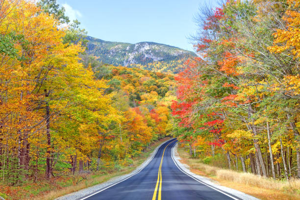 istock Autumn road in Grafton Notch State Park, Maine 2177147746