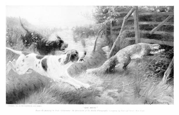 590+ Fox Hunting Illustrations - iStock