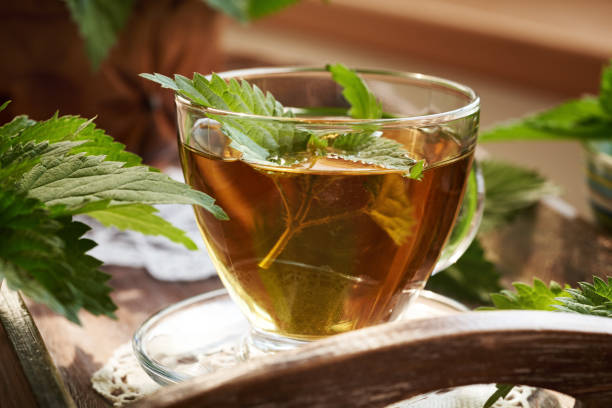 istock A cup of herbal tea with fresh nettle leaves 2177149397