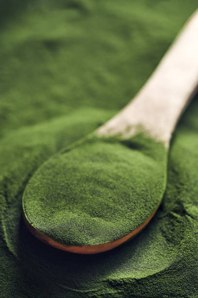 istock Green chlorella algae powder on a wooden spoon, closeup 2177149409