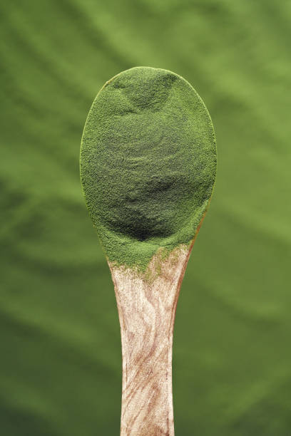 Green chlorella algae powder on a wooden spoon - healthy nutritional supplement