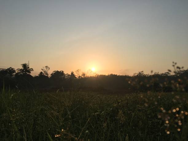 istock Sunrise at Summer Tropical Borneo Rain Forest 2177151856