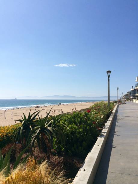 istock Manhattan Beach, Los Angels, California 2177152617
