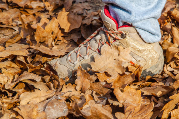 istock The sneaker stands in the brown autumn foliage 2177155194