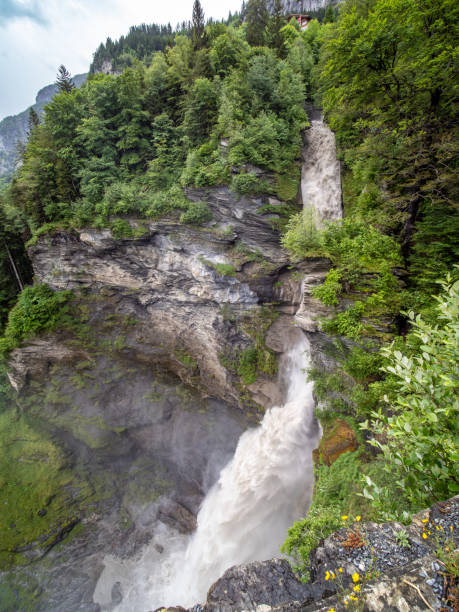 istock Reichenbach falls in a rainy day 2177164537