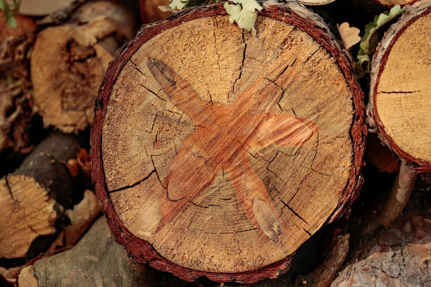 Close-up of sawn firewood stacked in a pile.