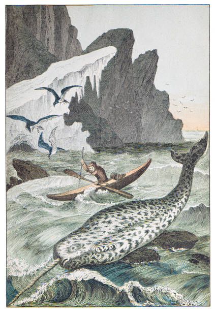 Hand colored engraving - Instructive Recreations for Youth. III. Series. Third Edition. Esslingen. J. F. Schreiber. 1876.