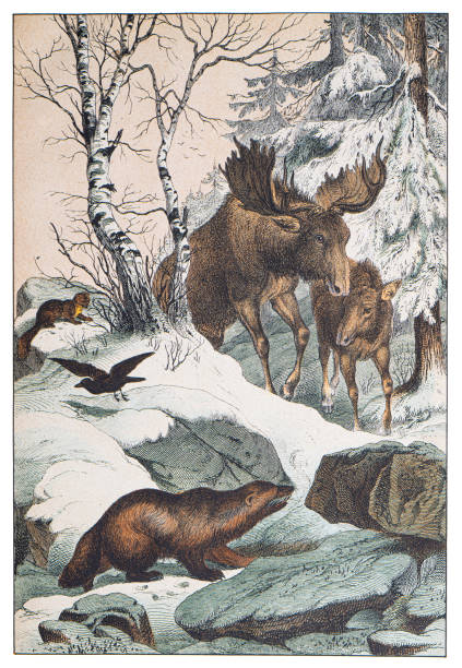 Hand colored engraving - Instructive Recreations for Youth. III. Series. Third Edition. Esslingen. J. F. Schreiber. 1876.