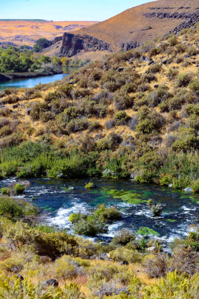 istock Box Canyon Spring in Thousand Springs State Park in southern Idaho 2177176139