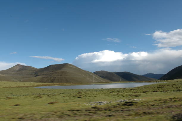 Grassland on the highland pasture