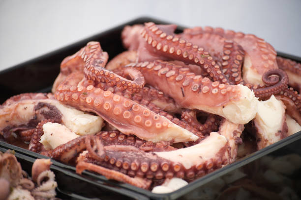 Close-up of cooked octopus tentacles arranged in a tray, showcasing vibrant textures and colors, perfect for seafood cuisine presentations. Ideal for culinary themes or food industry related projects.