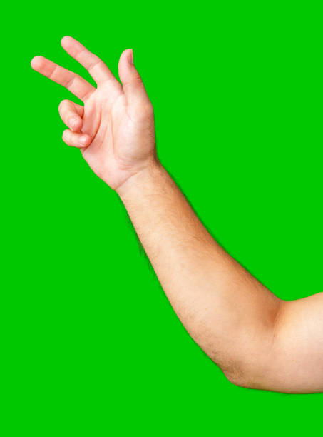 istock human arm gesturing with raised fingers against a bright green backdrop 2177186835