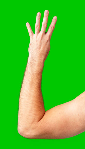 istock human arm gesturing with raised fingers against a bright green backdrop 2177187558