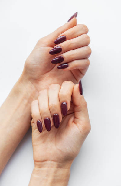 istock Elegant hands with deep purple nails showcasing manicure techniques against a clean white background 2177191366
