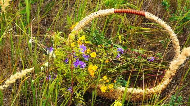 Photo Basket Wildflowers Top View Color