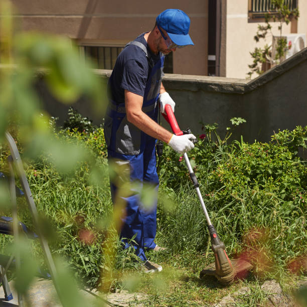 istock Gardener with a grass trimmer cutting overgrown grass and weeds around the building. 2177197921