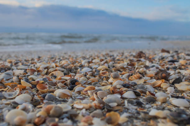 istock Sea, seashore  - Europe, Romania, Constanta region 2177201959