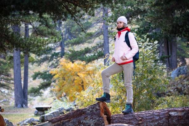 istock Trekking in the Alps. 2177202875