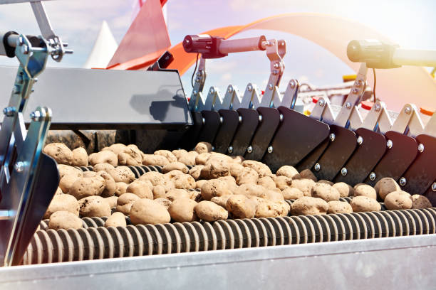 istock Infeed hopper agricultural machine and potatoes 2177205287