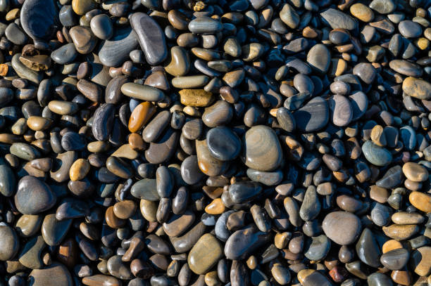 Wet sea pebbles close-up. Rocky beach on the sea, ocean, river, lake, pond. Natural background for design.