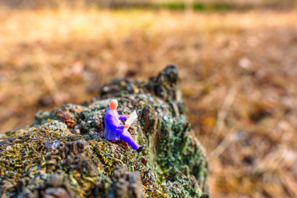 Colorful miniature person in a purple suit reading a document, perched on a textured rock in a natural setting.