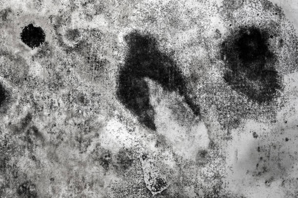 concrete wall detail