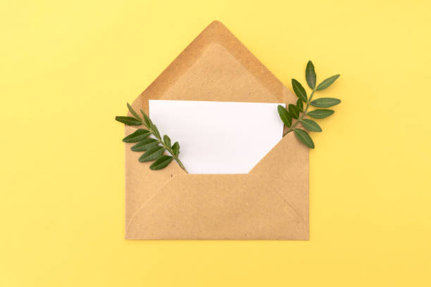 istock Open kraft envelope with blank card and green leaves on yellow background, Eco Communication concept 2177217586